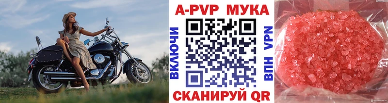 Купить закладки  Котлас  Alpha-PVP мука 