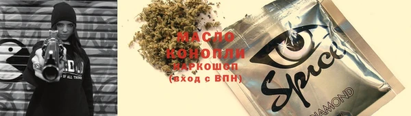 тгк Краснослободск