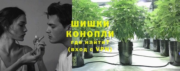тгк Краснослободск