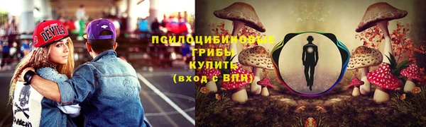 тгк Краснослободск
